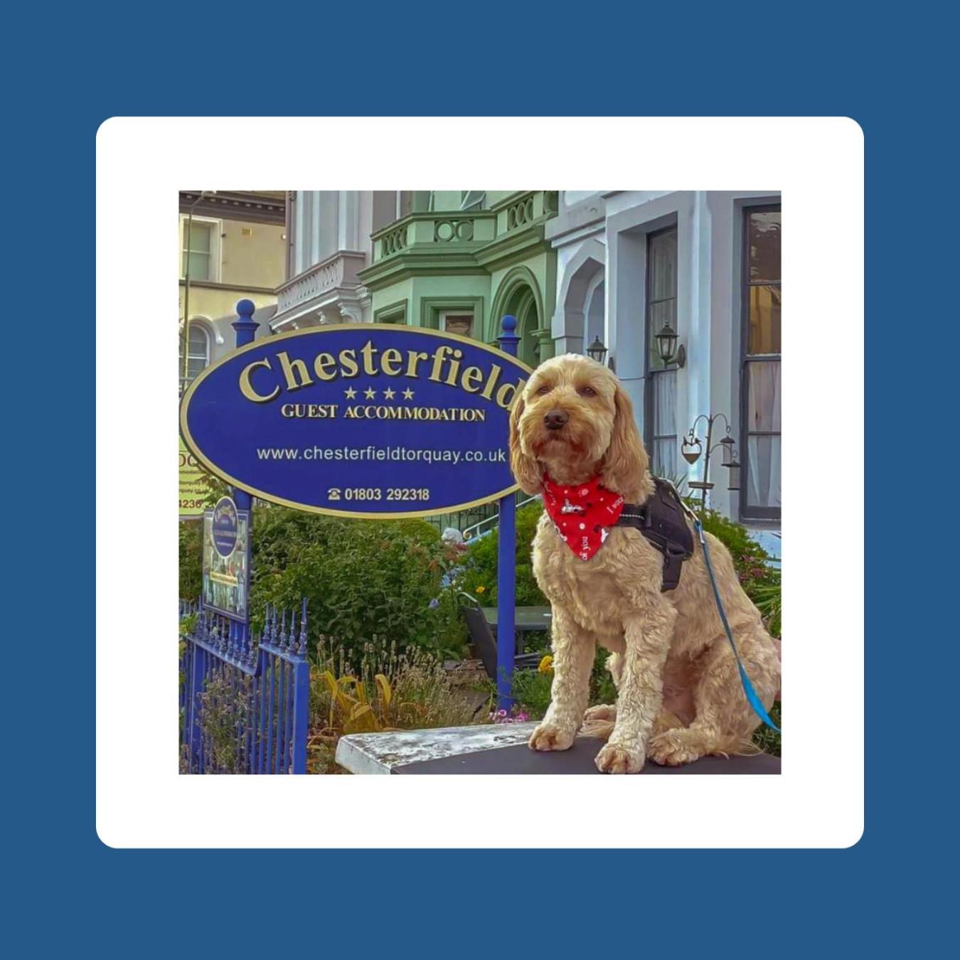 The Chesterfield, Torquay (Adults Only) Экстерьер фото